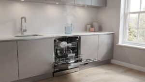 Spülmaschine entkalken: dieses günstige Hausmittel empfehlen Bosch-Techniker alle drei Monate